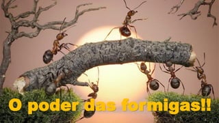 O poder das formigas!!
 