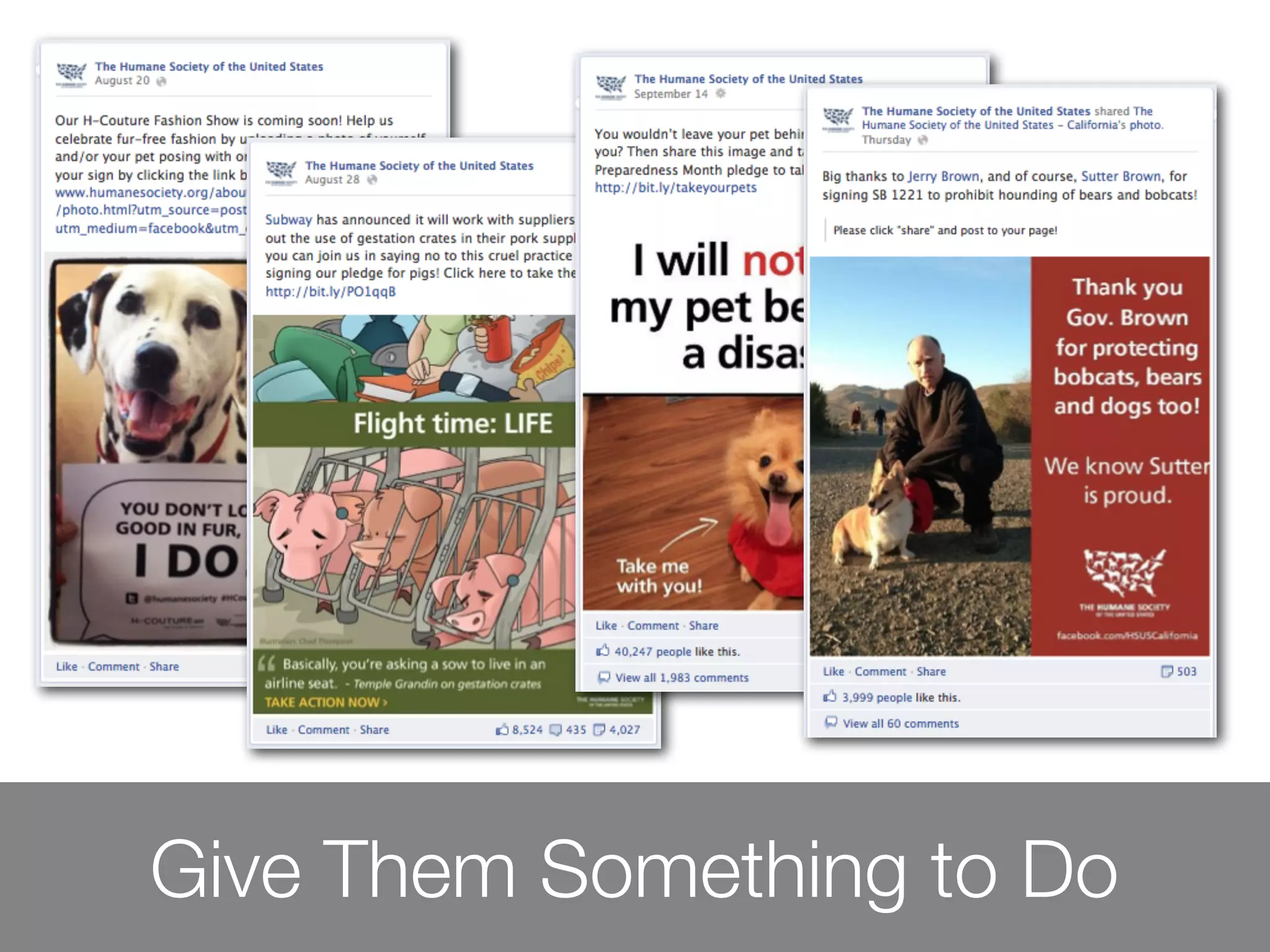 Give Them Something to Do
 