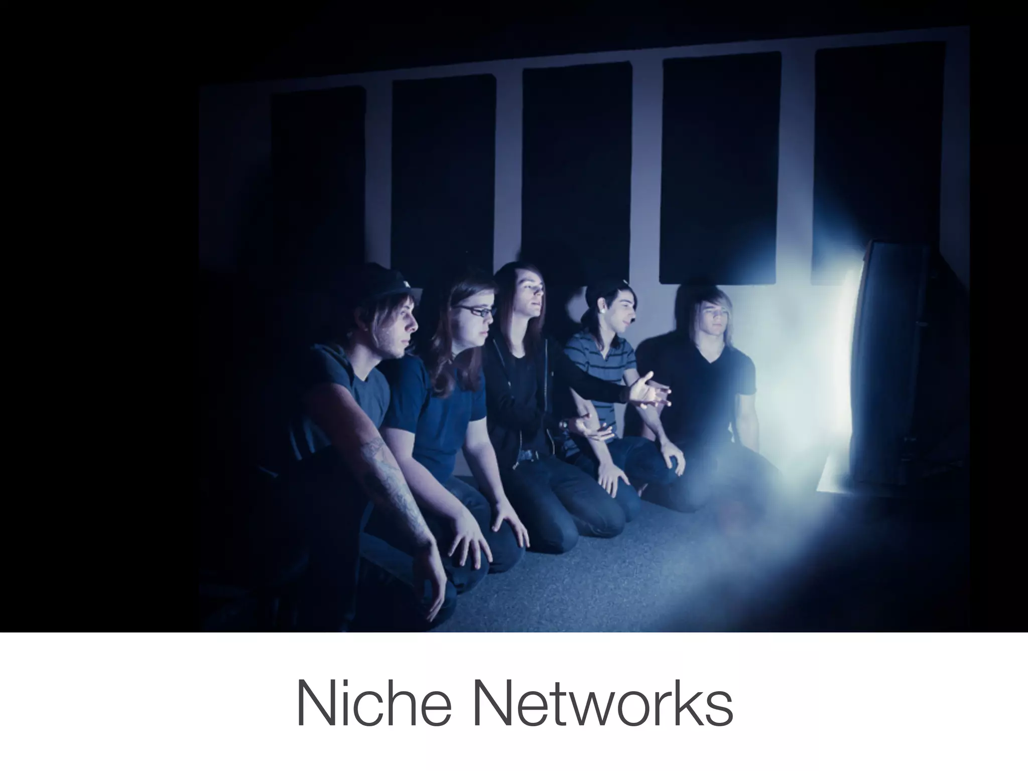 Niche Networks
 