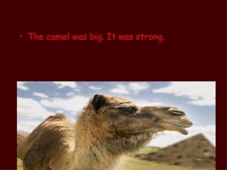 <ul><li>The camel was big. It was strong. </li></ul>