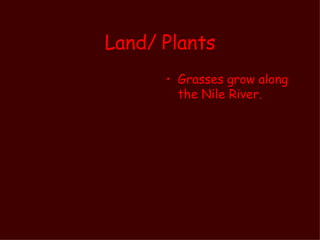 Land/ Plants <ul><li>Grasses grow along the Nile River.  </li></ul>