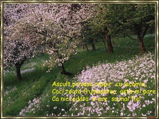 Ascult,privesc,respir  cu lacomie,Caci toata frumusetea  asta-mi pareCa nici odata  n-are  sa mai fie!