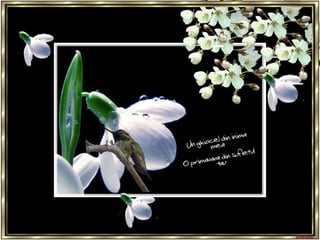 Spring....time