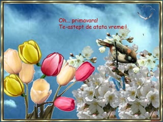 Oh... primavara! Te-astept de atata vreme !