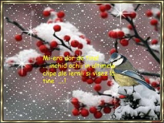 Mi-era dor de tine! ... inchid ochii in ultimele clipe ale iernii si visez la tine  ....!