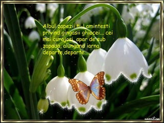 Albul zapezii ti-l amintesti privind gingasii ghiocei... cei mai curajosi, apar de sub zapada, alungand iarna departe,departe.....