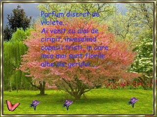 Parfum discret de violete... Ai venit cu alai de ciripit, inveselind copacii tristi, in care inca mai sunt florile albe ale gerului.....