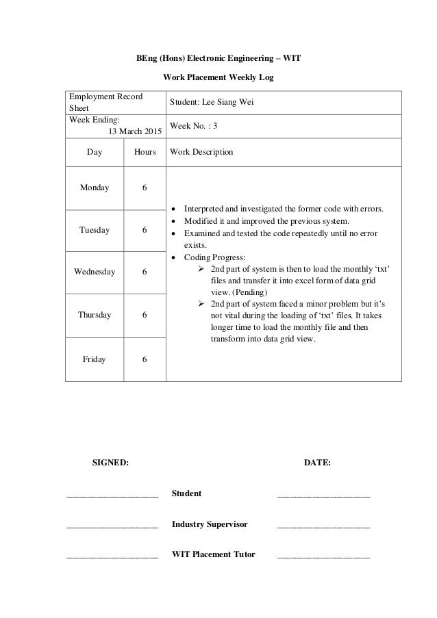 Final Work Placement Report