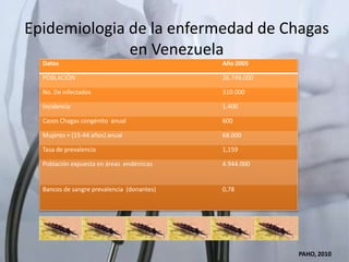 Epidemiologia de la enfermedad de Chagas
en Venezuela
Datos Año2005
POBLACIÓN 26.749.000
No. De infectados 310.000
Incidencia 1.400
Casos Chagas congénito anual 600
Mujeres + (15‐44 años) anual 68.000
Tasa de prevalencia 1,159
Población expuesta en áreas endémicas 4.944.000
Bancos de sangre prevalencia (donantes) 0,78
PAHO, 2010
 