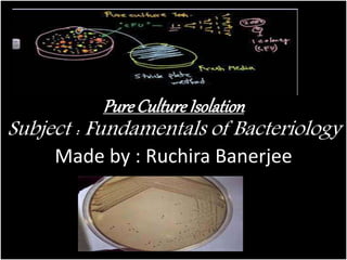 PureCultureIsolation
Subject : Fundamentals of Bacteriology
Made by : Ruchira Banerjee
 