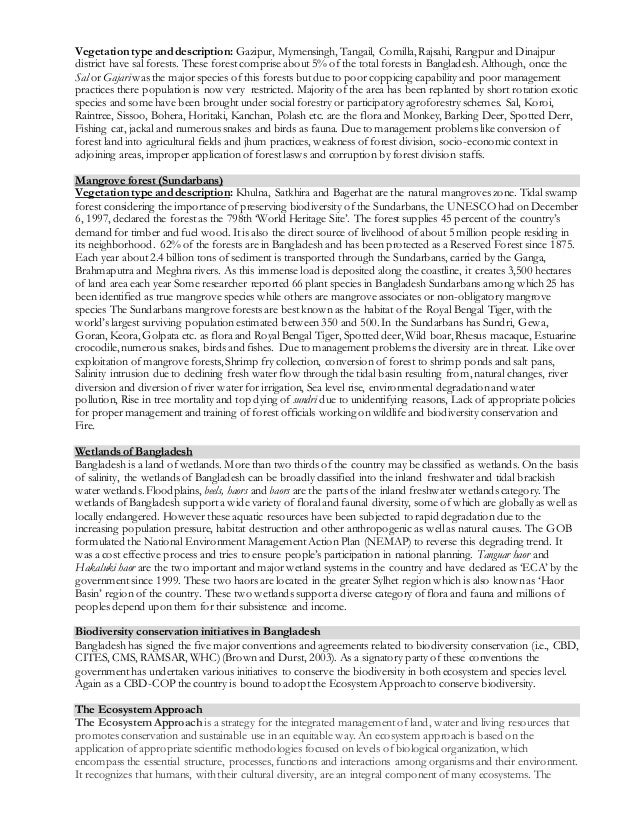 Buy essays in australia