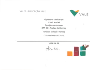 JOAO MINDO - SAP (Certificações)