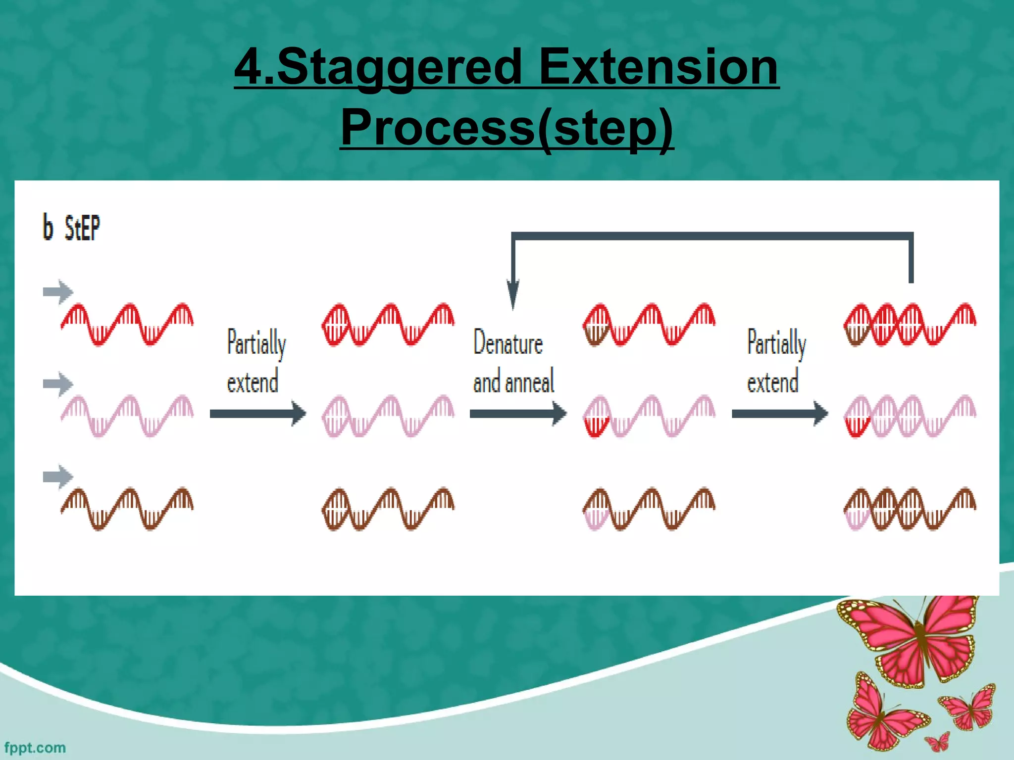 Directed Evolution | PPT