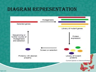 DiAgrAm rePresentAtion
 