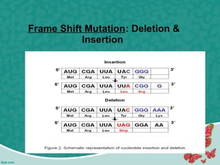 Frame Shift Mutation: Deletion &
Insertion
 