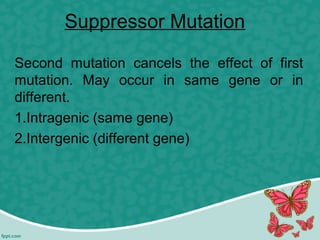 Suppressor Mutation
Second mutation cancels the effect of first
mutation. May occur in same gene or in
different.
1.Intragenic (same gene)
2.Intergenic (different gene)
 