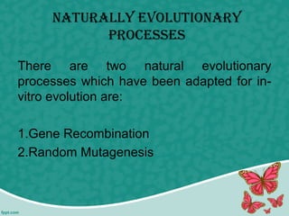 Naturally EvolutioNary
ProcEssEs
There are two natural evolutionary
processes which have been adapted for in-
vitro evolution are:
1.Gene Recombination
2.Random Mutagenesis
 