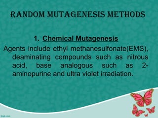 raNdom mutaGENEsis mEthods
1. Chemical Mutagenesis
Agents include ethyl methanesulfonate(EMS),
deaminating compounds such as nitrous
acid, base analogous such as 2-
aminopurine and ultra violet irradiation.
 