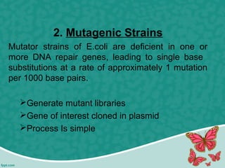 2. Mutagenic Strains
Mutator strains of E.coli are deficient in one or
more DNA repair genes, leading to single base
substitutions at a rate of approximately 1 mutation
per 1000 base pairs.
Generate mutant libraries
Gene of interest cloned in plasmid
Process Is simple
 