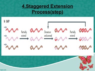 4.Staggered Extension
Process(step)
 