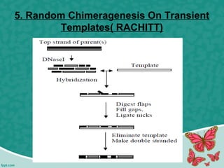 5. Random Chimeragenesis On Transient
Templates( RACHITT)
 