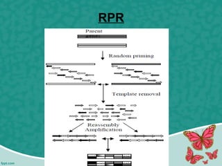 RPR
 