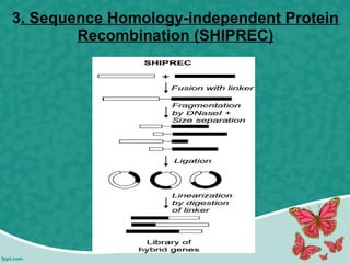 3. Sequence Homology-independent Protein
Recombination (SHIPREC)
 