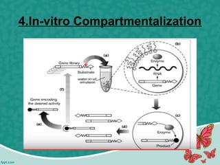 4.In-vitro Compartmentalization
 