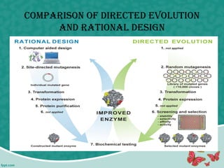 compArison of DirecteD evolution
AnD rAtionAl Design
 