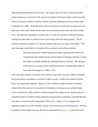 7
impoundment behind the Raul Leoni Dam. The islands came in all sizes, creating the perfect
outdoor laboratory to determine if the removal of predators from these islands would inexorably
lead to an increase in herbivore density, thereby ultimately affecting the biomass of the island
(Terborgh et al., 2006). Terborgh and his team documented the destruction of vegetation by the
herbivores of the small islands and the takeover by the infamous leaf-cutter ant (of the Family
Atta). The leaf-cutter populations swelled, and, as a result, the vegetation suffered immensely,
reaching the point where it could not recover fast enough from the intense grazing. This all
resulted in what the researchers of Lago Guri named as the post-Atta stage of the islands. This
post-Atta stage is described by Terborgh and his co-authors in this telling statement:
The forest canopy dies without replacement, light is appropriated by herbivore-
resistant lianas that clamber up the well-lit margins of openings until they overtop
the canopy, eventually smothering it and hastening tree mortality. The end point
of this process is a nearly treeless island buried under an impenetrable tangle of
liana stems (Terborgh et al., 2006, p. 261).
After more than a decade of research in the islands of Lago Guri it became evident to Terborgh
that in the absence of predators a terrestrial “trophic cascade,” another term coined by Robert
Paine, was undoubtedly apparent. Berger et al. have defined a trophic cascade as “predator-
related effects that result in inverse patterns of abundance or biomass across multiple trophic
levels in a food web” (2001, p.818) or as Paine, himself, later defines as the “dynamic process
unleashed whenever numbers of apex predators are decreased by exploitation, increased through
restoration, or experimentally manipulated” (2010, p.21). Simply stated, a change in the
uppermost trophic level will eventually cascade to the lowermost level in the food web. With the
revelation of these trophic cascades, the theories proposed by Hairston et al. seem all the more
 