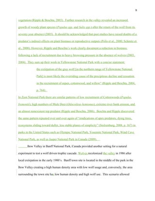 9
vegetation (Ripple & Beschta, 2003). Further research in the valley revealed an increased
growth of woody plant species (Populus spp. and Salix spp.) after the return of the wolf from its
seventy year absence (2003). It should be acknowledged that past studies have raised doubts of a
predator’s indirect effects on plant biomass or reproductive outputs (Polis et al., 2000; Schmitz et
al., 2000). However, Ripple and Beschta’s work clearly document a reduction in biomass
following a lack of recruitment due to heavy browsing pressure in the absence of wolves (2003,
2004). They sum up their work in Yellowstone National Park with a concise statement:
the extirpation of the gray wolf [in the northern range of Yellowstone National
Park] is most likely the overriding cause of the precipitous decline and cessation
in the recruitment of aspen, cottonwood, and willow” (Ripple and Beschta, 2004,
p. 764).
In Zion National Park there are similar patterns of low recruitment of Cottonwoods (Populus
fremontii), high numbers of Mule Deer (Odocoileus hemionus), extreme river bank erosion, and
an almost nonexistent top predator (Ripple and Beschta, 2006). Beschta and Ripple discovered
the same pattern repeated over and over again of “eradications of apex predators, dying trees,
ecosystems sliding toward duller, less stable planes of simplicity” (Stolzenburg, 2008, p. 167) in
parks in the United States such as Olympic National Park, Yosemite National Park, Wind Cave
National Park, as well as Jasper National Park in Canada (2009).
Bow Valley in Banff National Park, Canada provided another setting for a natural
experiment to test a wolf driven trophic cascade. Wolves recolonized the valley in 1986 after
local extirpation in the early 1900’s. Banff town site is located in the middle of the park in the
Bow Valley creating a high human density area with low wolf usage and, conversely, the area
surrounding the town site has low human density and high wolf use. This scenario allowed
 