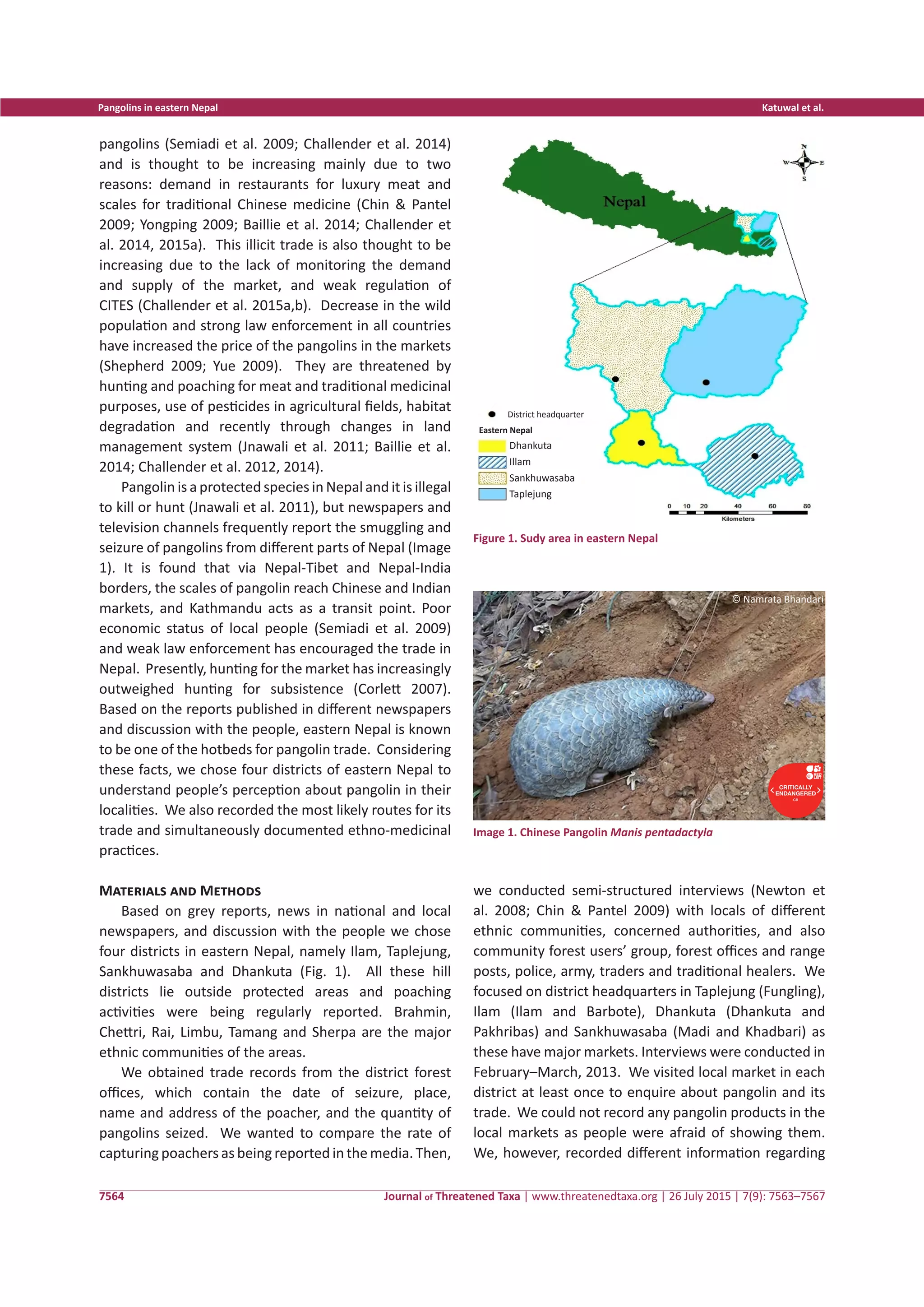 Pangolin Activity Pangolins in Eastern Nepal;Trade and Ethno-Medicinal Importance | PDF