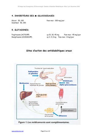 ©Collège des Enseignants d’Endocrinologie, Diabète et Maladies Métaboliques. Mise à jour décembre 2004




4. INHIBITEURS DES                  α -GLUCOSIDASES
Glucor® 50, 100                                        Poso max : 300 mg/jour
Diastabol® 50, 100



5. GLITAZONES:

Pioglitazone (ACTOS®)                                  cp 15, 30, 45 mg     Poso max : 45 mg/jour
Rosiglitazone (AVANDIA®)                               cp 2, 4, 8 mg Poso max : 8 mg/jour




                      Sites d’action des antidiabétiques oraux




                                                                                 Effet indirect




www.endocrino.net                            Page 23 sur 43
 