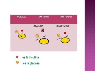 NORMAL          DM TIPO I      DM TIPO II


            INSULINA        RECEPTORES




   es la insulina
    es la glucosa
 