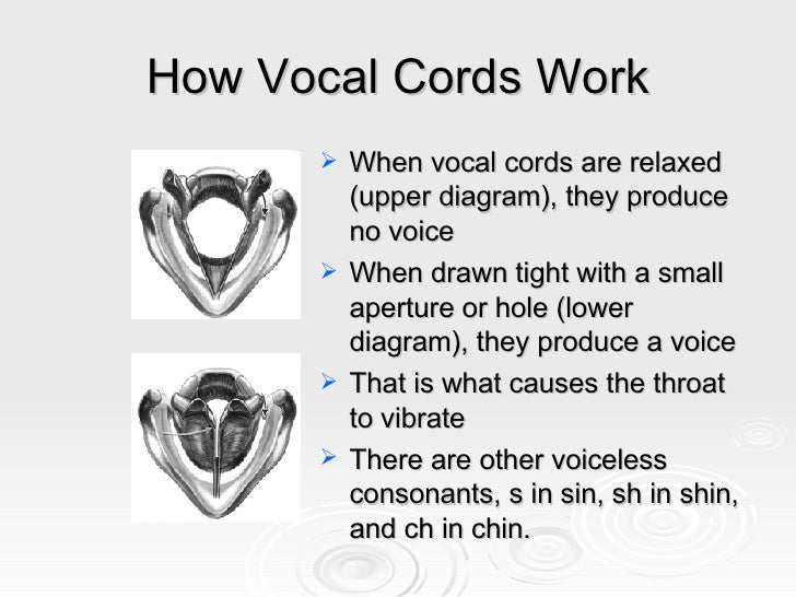 Deacriptive Linguistics
