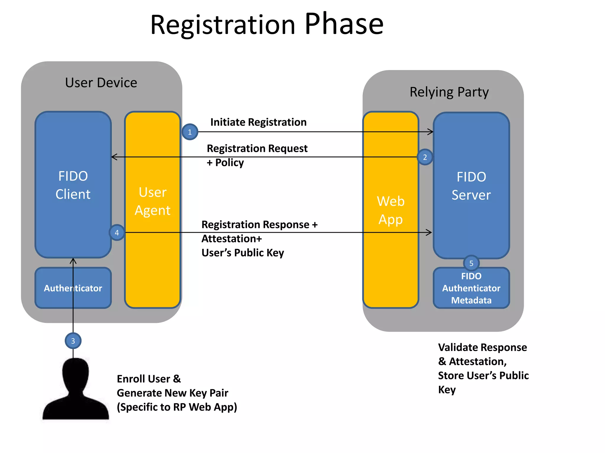 User
Agent
Web
App
Authenticator
FIDO
Client
FIDO
Server
FIDO
Authenticator
Metadata
User Device
Relying Party
1
2
4
5
3
Initiate Registration
Registration Request
+ Policy
Registration Response +
Attestation+
User’s Public Key
Enroll User &
Generate New Key Pair
(Specific to RP Web App)
Validate Response
& Attestation,
Store User’s Public
Key
Registration Phase
 