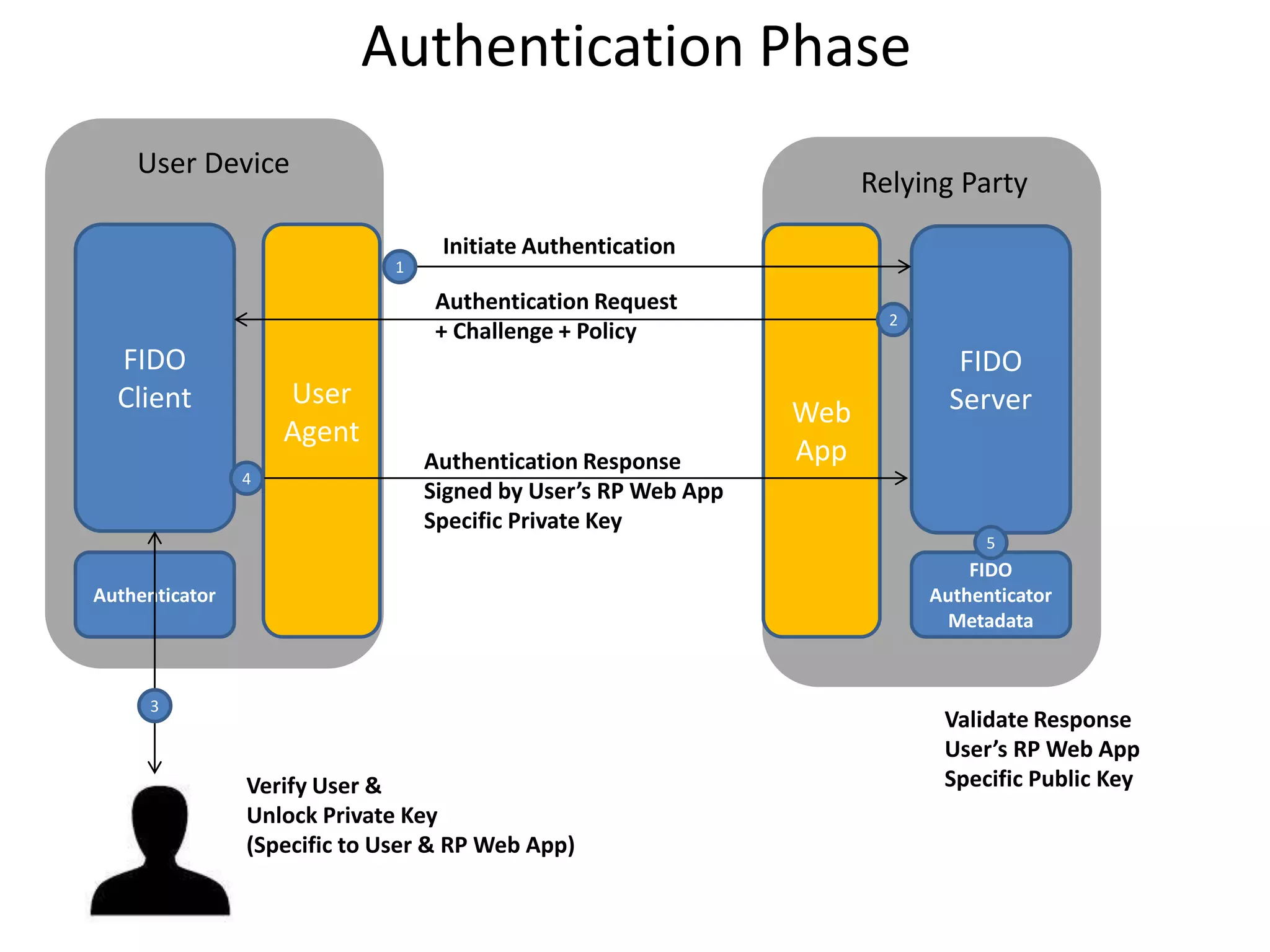 User
Agent
Web
App
Authenticator
FIDO
Client
FIDO
Server
FIDO
Authenticator
Metadata
User Device
Relying Party
1
2
4
5
3
Initiate Authentication
Authentication Request
+ Challenge + Policy
Authentication Response
Signed by User’s RP Web App
Specific Private Key
Verify User &
Unlock Private Key
(Specific to User & RP Web App)
Validate Response
User’s RP Web App
Specific Public Key
Authentication Phase
 