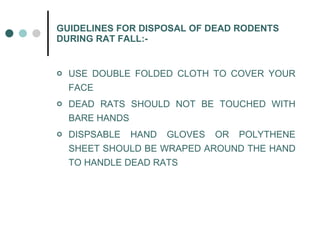 GUIDELINES FOR DISPOSAL OF DEAD RODENTS DURING RAT FALL:- USE DOUBLE FOLDED CLOTH TO COVER YOUR FACE DEAD RATS SHOULD NOT BE TOUCHED WITH BARE HANDS DISPSABLE HAND GLOVES OR POLYTHENE SHEET SHOULD BE WRAPED AROUND THE HAND TO HANDLE DEAD RATS 