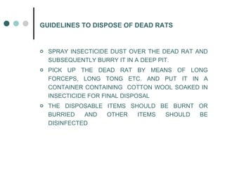 GUIDELINES TO DISPOSE OF DEAD RATS SPRAY INSECTICIDE DUST OVER THE DEAD RAT AND SUBSEQUENTLY BURRY IT IN A DEEP PIT. PICK UP THE DEAD RAT BY MEANS OF LONG FORCEPS, LONG TONG ETC. AND PUT IT IN A CONTAINER CONTAINING  COTTON WOOL SOAKED IN INSECTICIDE FOR FINAL DISPOSAL THE DISPOSABLE ITEMS SHOULD BE BURNT OR BURRIED AND OTHER ITEMS SHOULD BE DISINFECTED 