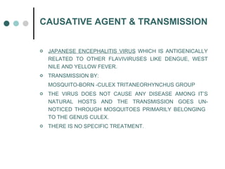 CAUSATIVE AGENT & TRANSMISSION JAPANESE ENCEPHALITIS VIRUS  WHICH IS ANTIGENICALLY RELATED TO OTHER FLAVIVIRUSES LIKE DENGUE, WEST NILE AND YELLOW FEVER. TRANSMISSION BY: MOSQUITO-BORN -CULEX TRITANEORHYNCHUS GROUP THE VIRUS DOES NOT CAUSE ANY DISEASE AMONG IT’S NATURAL HOSTS AND THE TRANSMISSION GOES UN-NOTICED THROUGH MOSQUITOES PRIMARILY BELONGING  TO THE GENUS CULEX. THERE IS NO SPECIFIC TREATMENT. 