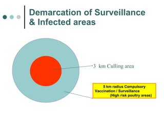 Demarcation of Surveillance & Infected areas   5 km radius  Stamping Out 5 km radius Compulsory Vaccination / Surveillance  (High risk poultry areas) 3  km Culling area  
