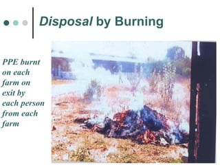 Disposal  by Burning PPE burnt  on each  farm on  exit by  each person  from each  farm 