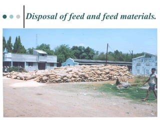 Disposal of feed and feed materials. 
