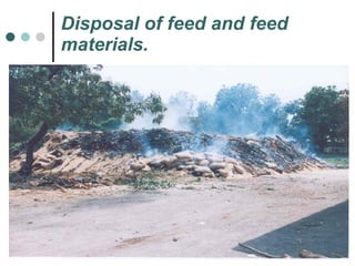 Disposal of feed and feed materials. 