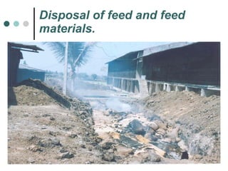 Disposal of feed and feed materials. 