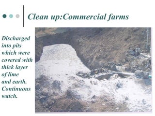 Discharged  into pits  which were  covered with thick layer  of lime  and earth.  Continuous watch. Clean up:Commercial farms 