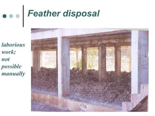 Feather disposal  laborious  work;  not possible  manually 