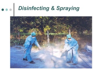 Disinfecting & Spraying 