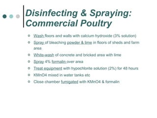 Disinfecting & Spraying: Commercial Poultry Wash  floors and walls with calcium hydroxide (3% solution) Spray  of bleaching  powder & lime  in floors of sheds and farm area White-wash  of concrete and bricked area with lime Spray  4%  formalin  over area Treat equipment  with hypochlorite solution (2%) for 48 hours KMnO4 mixed in water tanks etc Close chamber  fumigated  with KMnO4 & formalin 