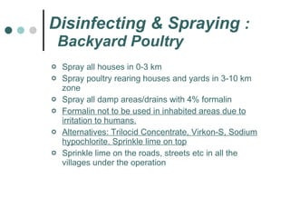 Disinfecting & Spraying  :   Backyard Poultry Spray all houses in 0-3 km  Spray poultry rearing houses and yards in 3-10 km zone Spray all damp areas/drains with 4% formalin Formalin not to be used in inhabited areas due to irritation to humans. Alternatives: Trilocid Concentrate, Virkon-S, Sodium hypochlorite. Sprinkle lime on top Sprinkle lime on the roads, streets etc in all the villages under the operation 